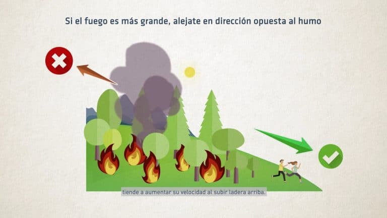 Campaña contra los incendios forestales: tips para empezar a proteger nuestro entorno natural