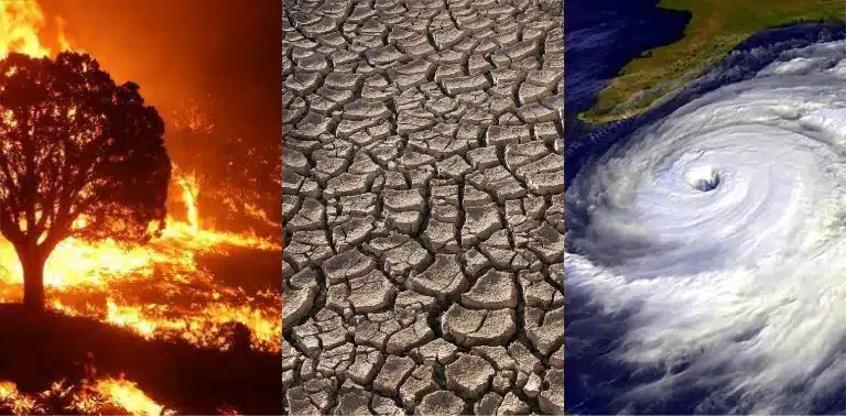 Cambio climático: ¿Por qué aumentan las tormentas e inundaciones? Descubre los impactantes efectos de la crisis ambiental