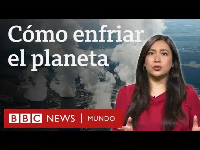 5 Consejos Efectivos para Combatir el Cambio Climático y las Altas Temperaturas