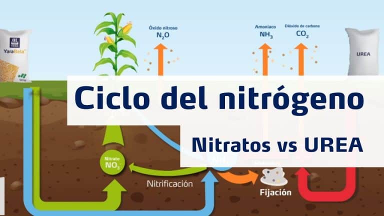 Descubre cómo reducir la utilización de fertilizantes mediante el riego con bacterias