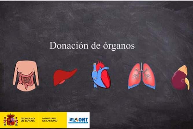 covid 19 en espana 274 trasplantes de organos de 127 donantes una luz de esperanza en medio de la pandemia