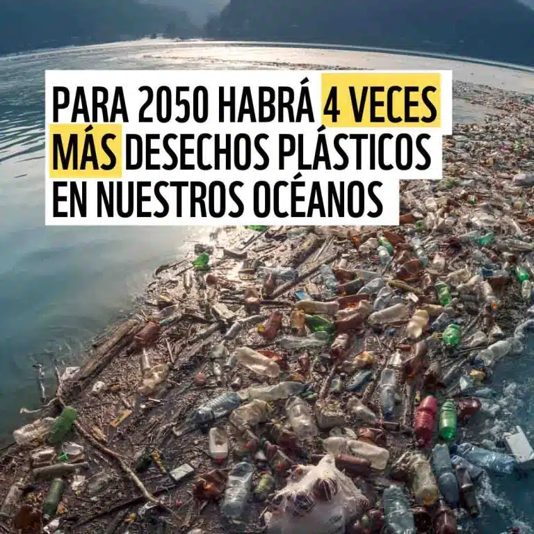 Crisis mundial por contaminación de los océanos: la impactante realidad del plástico