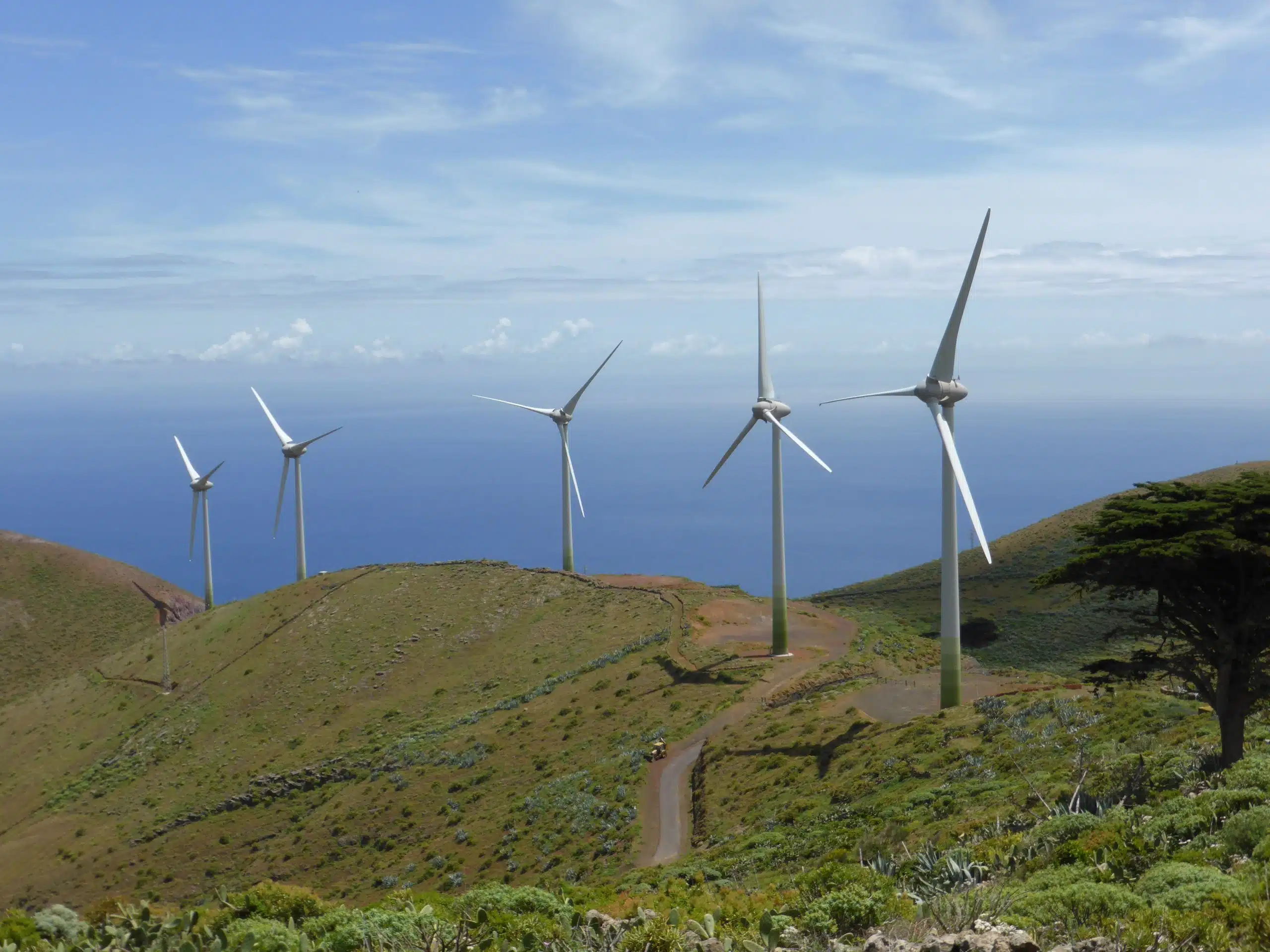 descubre como gestionar la transicion energetica sin poner en riesgo la biodiversidad tips y estrategias scaled
