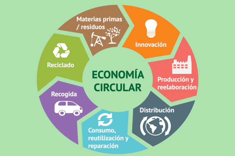 Descubre cómo implementar la economía circular para un futuro sostenible