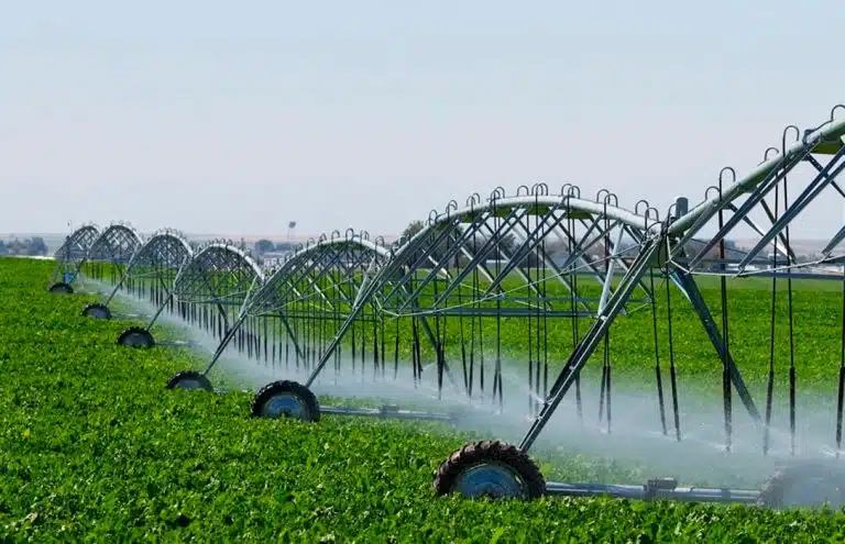 descubre como la agricultura sostenible recibe una inversion de 24 millones de euros para la modernizacion del regadio