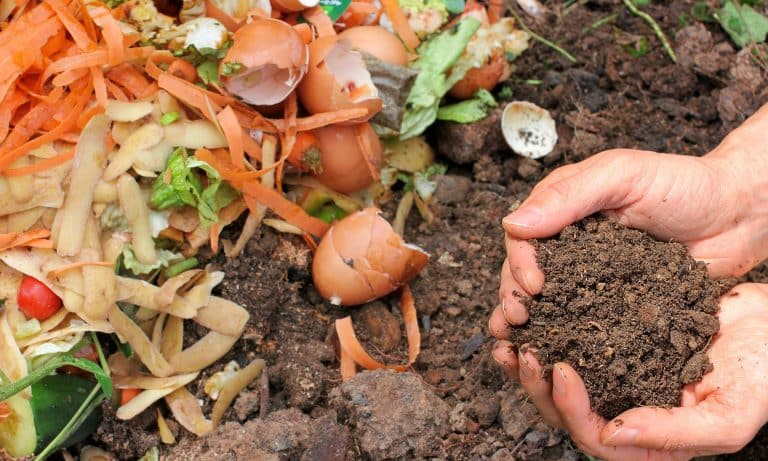 Descubre cómo los microplásticos en el compost pueden afectar la fertilidad del campo: Todo lo que necesitas saber