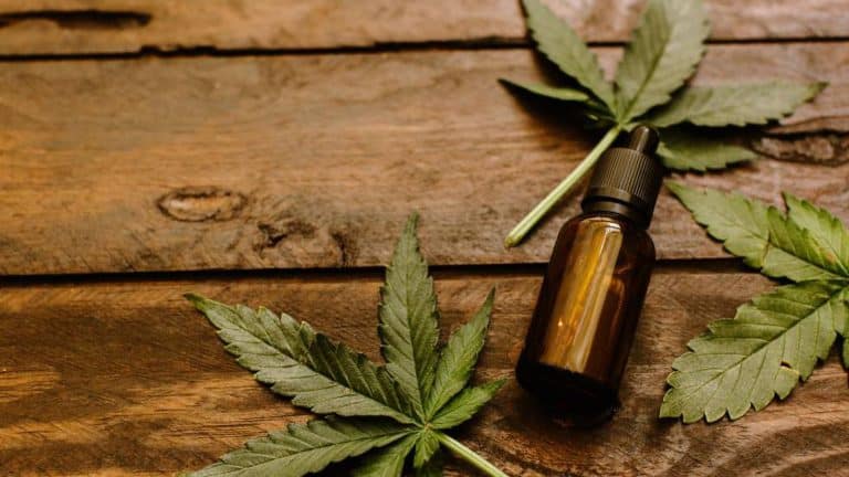 Descubre el CBD: El ingrediente estrella del mercado en crecimiento del cannabis medicinal