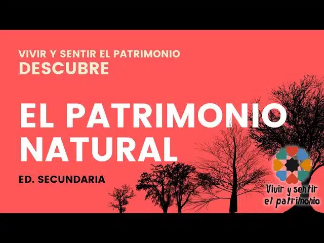 Descubre el fascinante patrimonio nacional en este conmovedor video ¡No te lo pierdas!