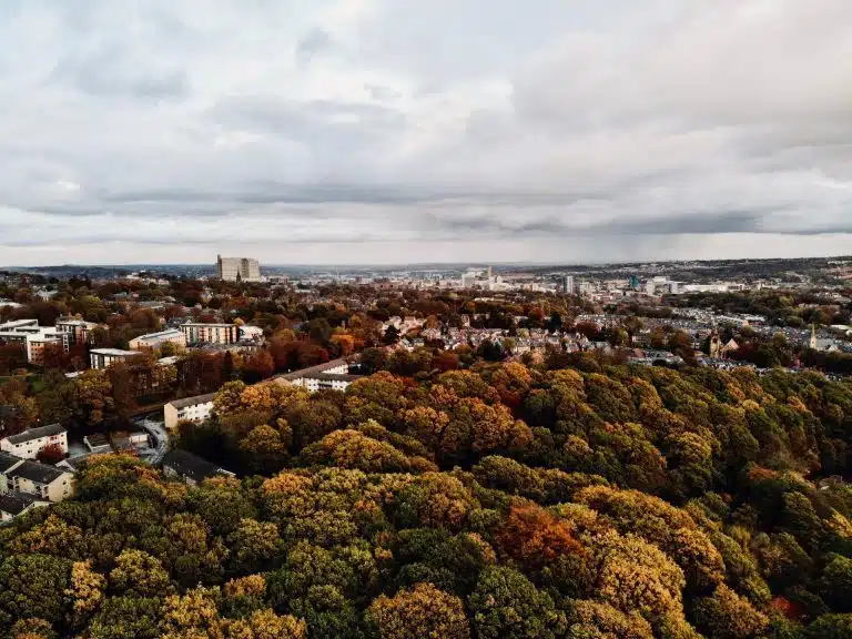 Descubre la clave para combatir el cambio climático: la relevancia de los bosques urbanos en nuestras ciudades