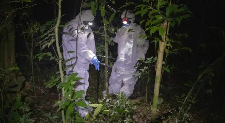 Descubre por qué dejar de explotar la naturaleza es clave para prevenir pandemias: conoce los impactantes datos sobre los 850,000 virus