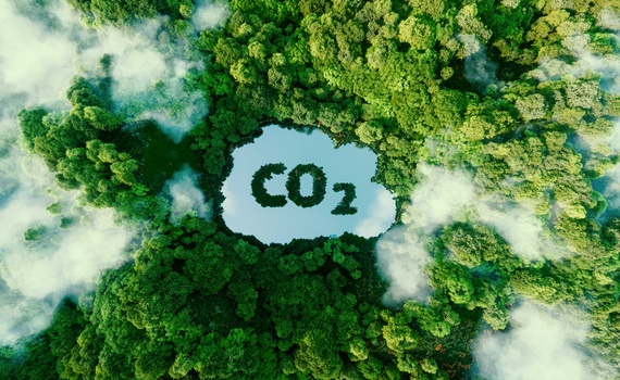 Descubre por qué eliminar el dióxido de carbono es clave para mitigar el cambio climático