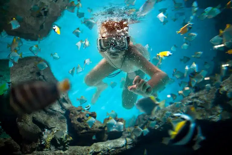 Descubre por qué los niños están prefiriendo bucear en las piscinas este verano en lugar de estar en internet