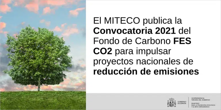 Descubre qué es y cómo funciona el Fondo de Carbono para impulsar una economía sostenible