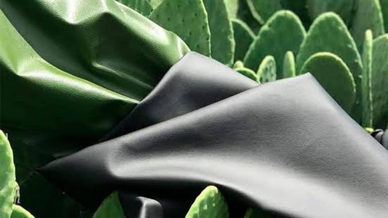 Descubre todas las ventajas del cuero vegano hecho a base de cactus: una opción sostenible y ecoamigable