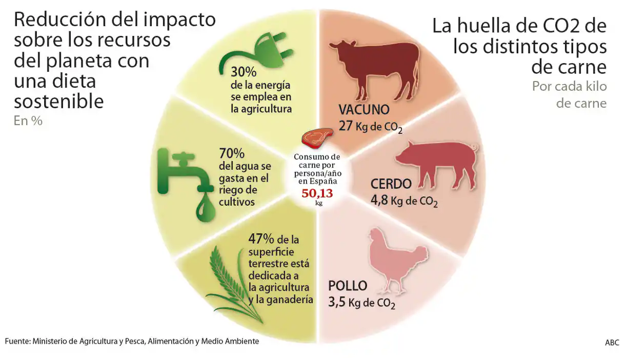 el impacto de la carne en el medio ambiente como la sociedad puede alimentarse de manera mas sostenible