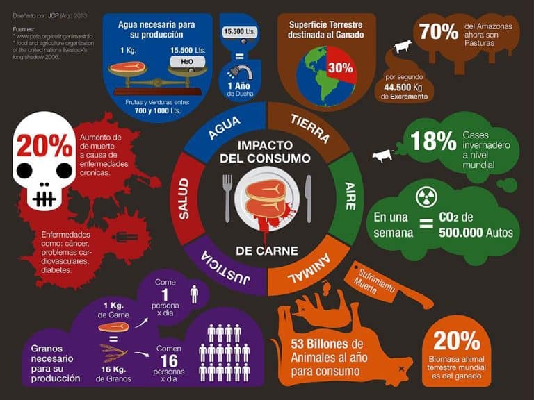 El impacto del consumo de carne en el medioambiente: descubre cómo nuestras elecciones alimentarias están afectando al planeta