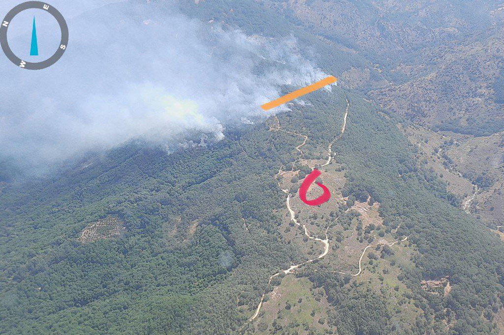 el miteco despliega un amplio dispositivo para combatir incendios forestales descubre sus estrategias y avances