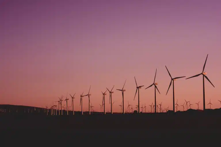 El plan ambicioso del gobierno: Energía renovable al 100% para 2050