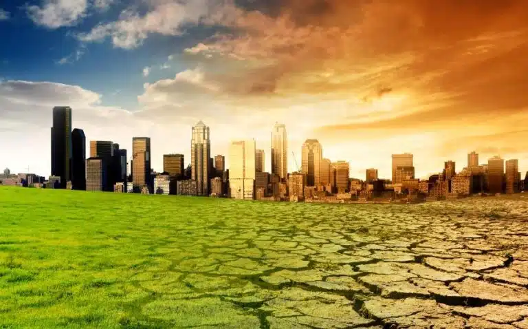 El poder de la sociedad de la información: cómo está afectando al medioambiente