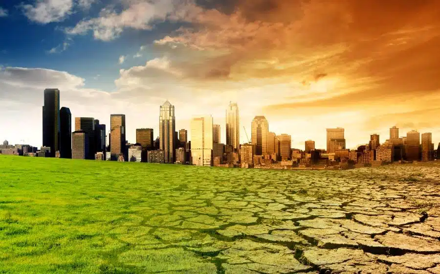 el poder de la sociedad de la informacion como esta afectando al medioambiente