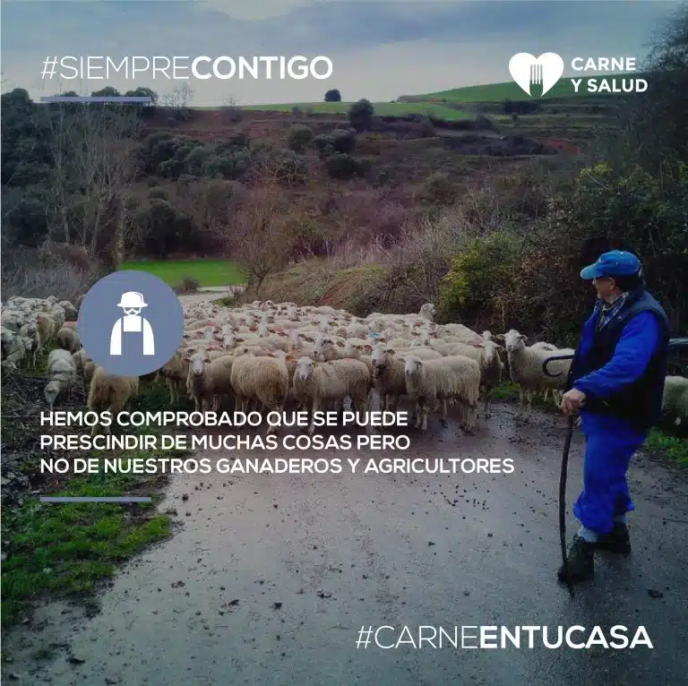El reconocimiento de los consumidores veterinarios y la administración al sector ganadero cárnico» – ¡Descubre cómo el trabajo de la industria es valorado por expertos y autoridades!