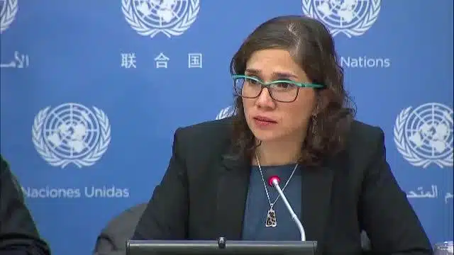 expertos de la onu presentan una guia pionera para el acceso a la justicia de personas con discapacidad
