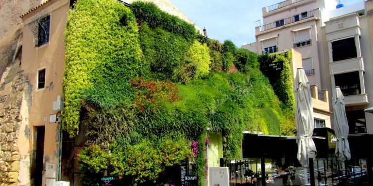 Jardines verticales: descubre cómo esta opción bioclimática transformará tu entorno