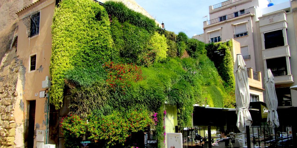 jardines verticales descubre como esta opcion bioclimatica transformara tu entorno