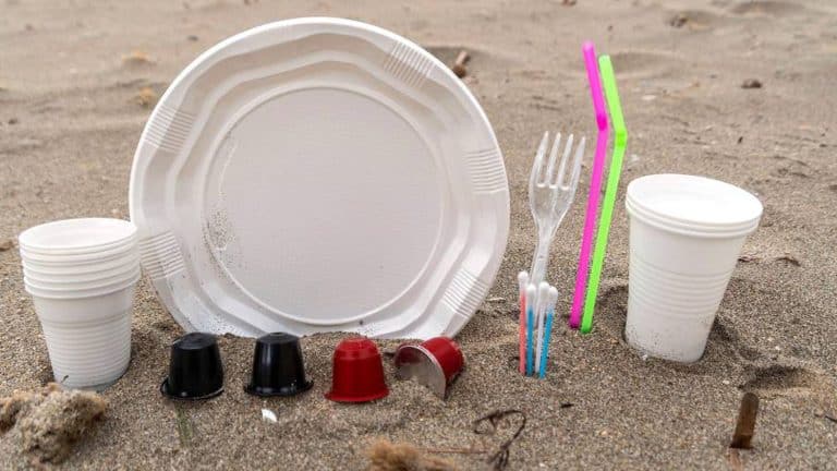 La prohibición de las pajitas de plástico en toda la UE: descubre por qué es un cambio necesario