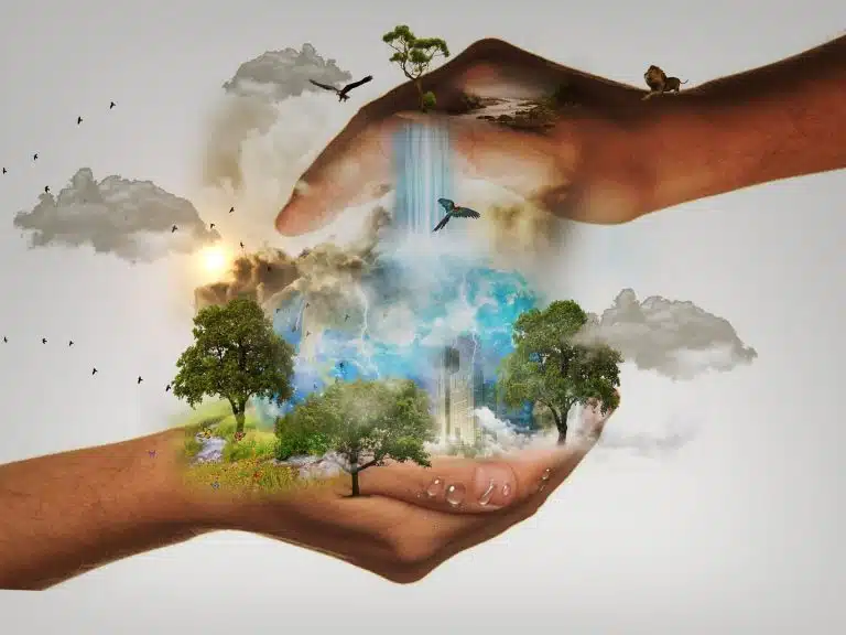 La salida verde a la crisis y la adaptación al cambio climático: cómo enfrentar los desafíos actuales