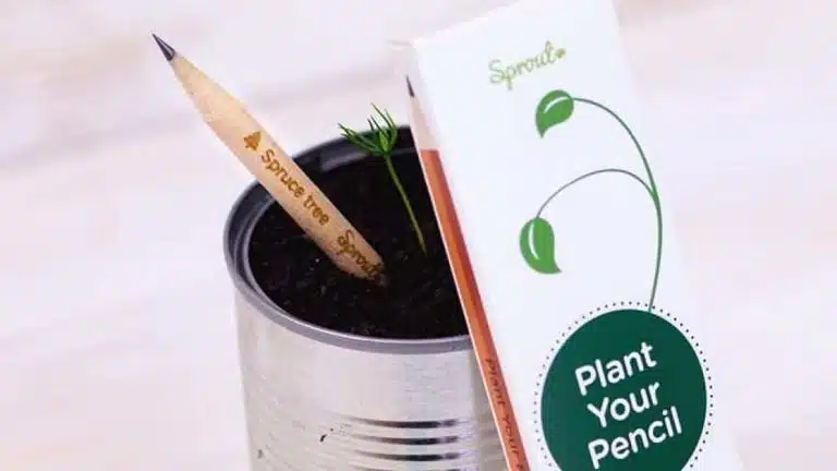 Lápiz y maquillaje plantables: los regalos ecológicos y originales que marcarán tendencia