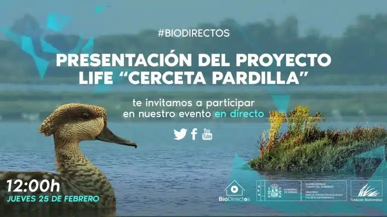 Life Cerceta Pardilla: Avances Sorprendentes en su Primer Año + Guía Completa