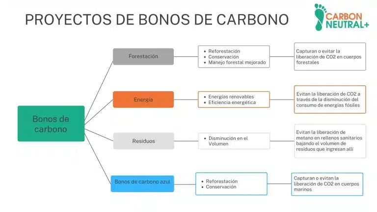 Por qué invertir en proyectos de carbono puede ser una mala idea: Conoce los riesgos y alternativas