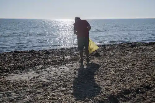 proyecto libera descubre la nueva edicion de recogida de datos 1m2 por playas y mares
