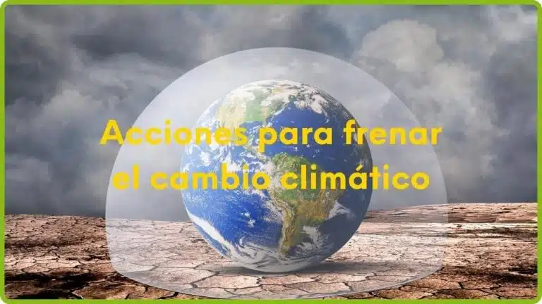 Revertir el curso del cambio climático: Urgencia vital para evitar que el planeta arda