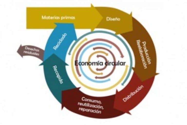 Transformando los neumáticos fuera de uso: el camino hacia una economía circular