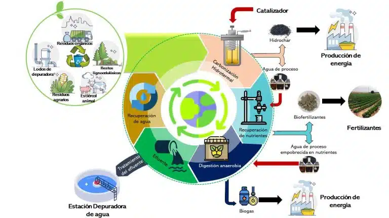 Transformar los desechos de la industria agroalimentaria en biocombustible: una solución sostenible y rentable
