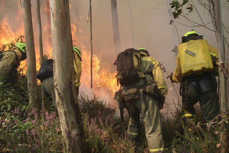 Transición ecológica: Cómo las comunidades autónomas afrontan el dispositivo de extinción de incendios forestales