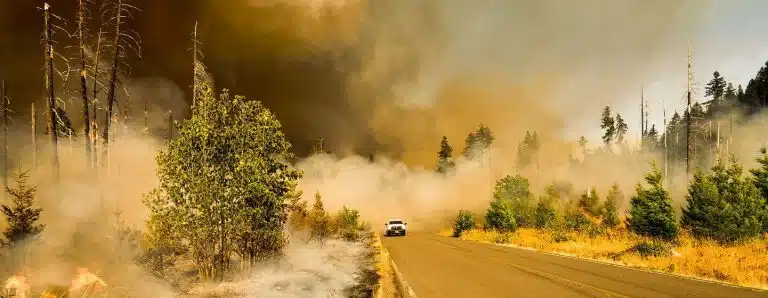Ultimátum a la especie humana: El cambio climático será irreversible si no actuamos ahora